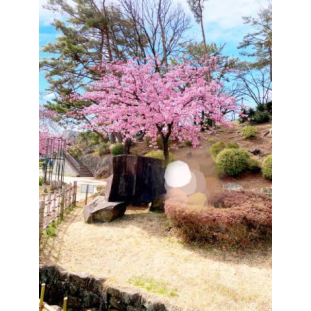 【千葉風俗】栄町ソープランド アラカルト【-A La Carte-】まりなの日記画像