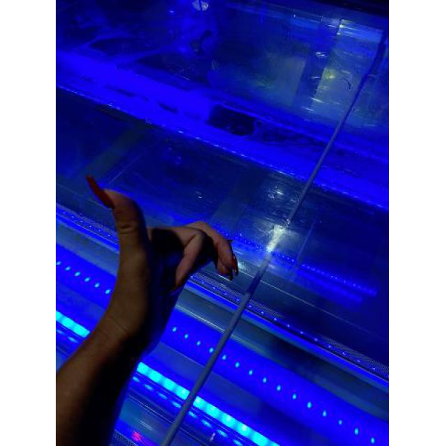 【千葉風俗】栄町ソープランド アラカルト【-A La Carte-】まりなの日記画像