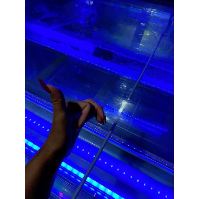 【千葉風俗】栄町ソープランド アラカルト【-A La Carte-】まりな【(´∀｀=)】日記画像