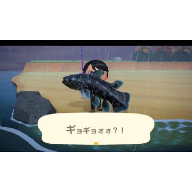 【千葉風俗】栄町ソープランド アラカルト【-A La Carte-】あいるの日記画像
