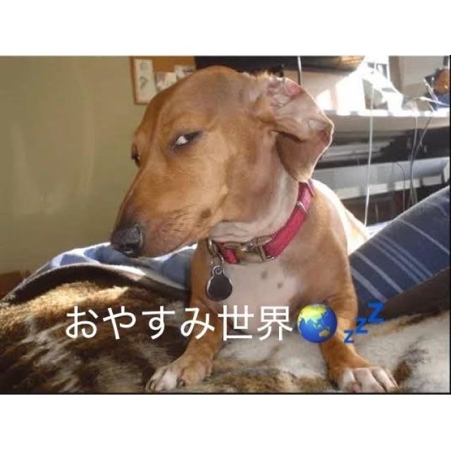 【千葉風俗】栄町ソープランド アラカルト【-A La Carte-】あいるの日記画像