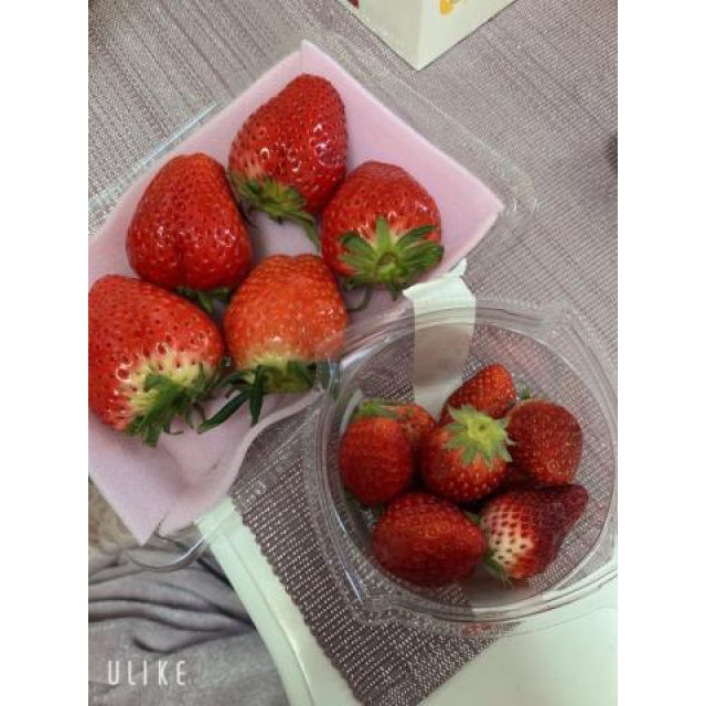 【千葉風俗】栄町ソープランド アラカルト【-A La Carte-】ねむの日記画像