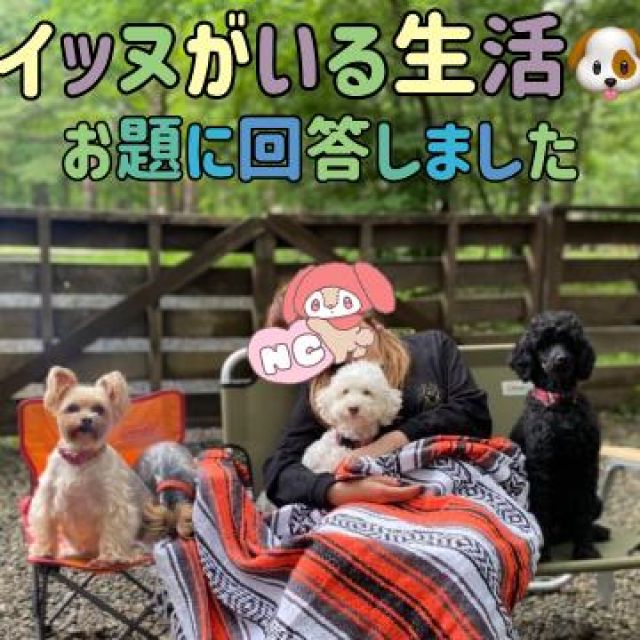 【千葉風俗】栄町ソープランド アラカルト【-A La Carte-】まいりん♥の日記画像