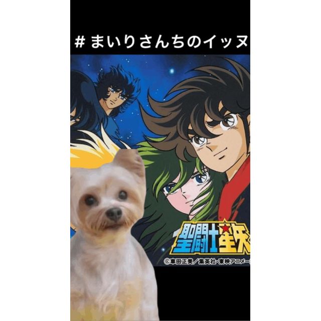 【千葉風俗】栄町ソープランド アラカルト【-A La Carte-】まいりん♥の日記画像