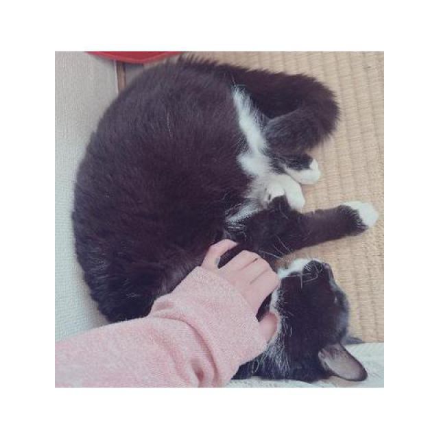 【千葉風俗】栄町ソープランド アラカルト【-A La Carte-】れあの日記画像