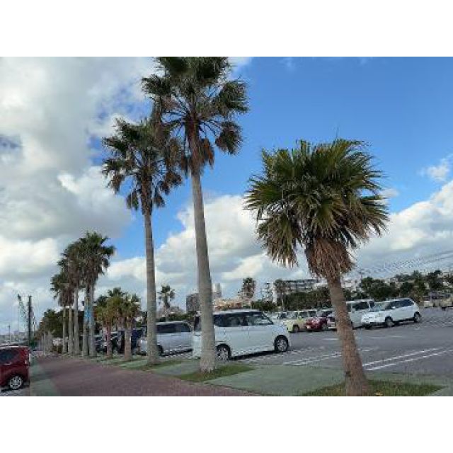 【千葉風俗】栄町ソープランド アラカルト【-A La Carte-】れあの日記画像