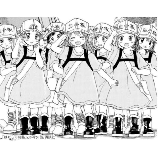 【千葉風俗】栄町ソープランド アラカルト【-A La Carte-】れあの日記画像