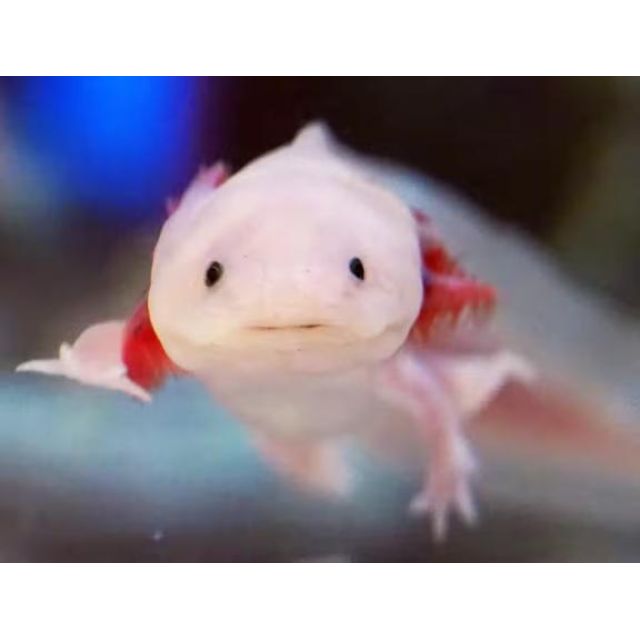 【千葉風俗】栄町ソープランド アラカルト【-A La Carte-】ちひろの日記画像