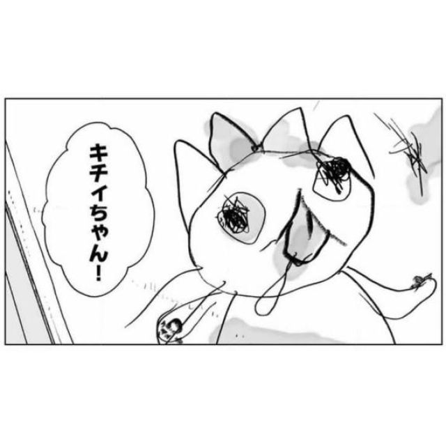 【千葉風俗】栄町ソープランド アラカルト【-A La Carte-】ちひろ【重要なお知らせ】日記画像