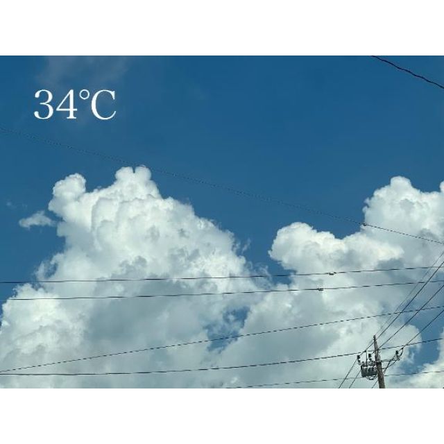 【千葉風俗】栄町ソープランド アラカルト【-A La Carte-】てぃあらの日記画像