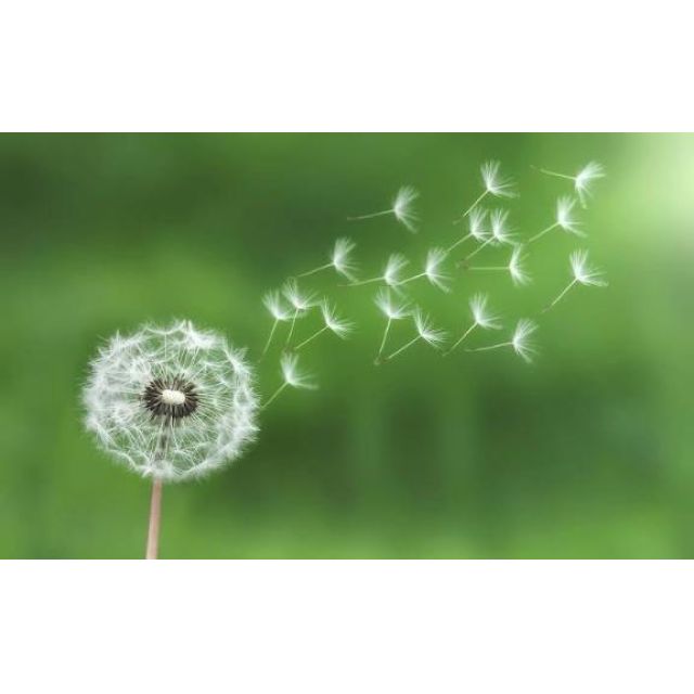 【千葉風俗】栄町ソープランド アラカルト【-A La Carte-】てぃあらの日記画像