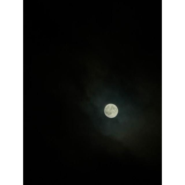 【千葉風俗】栄町ソープランド アラカルト【-A La Carte-】てぃあらの日記画像