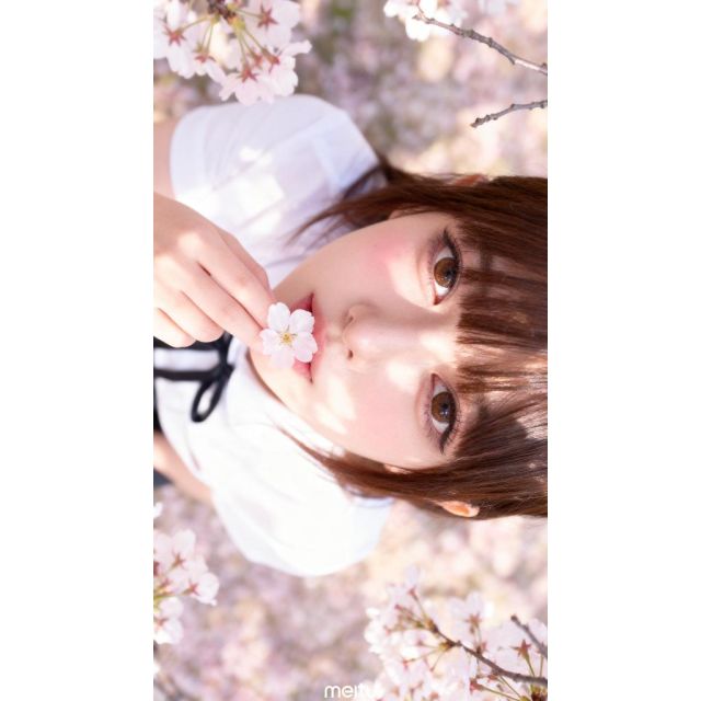 【千葉風俗】栄町ソープランド アラカルト【-A La Carte-】てぃあらの日記画像