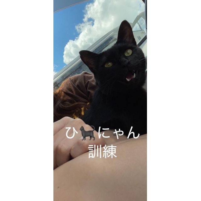 【千葉風俗】栄町ソープランド アラカルト【-A La Carte-】リノの日記画像