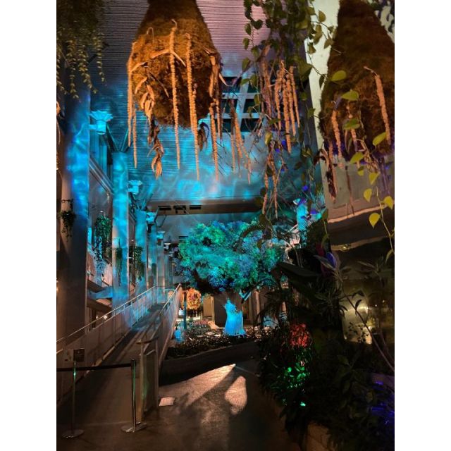 【千葉風俗】栄町ソープランド アラカルト【-A La Carte-】リノの日記画像