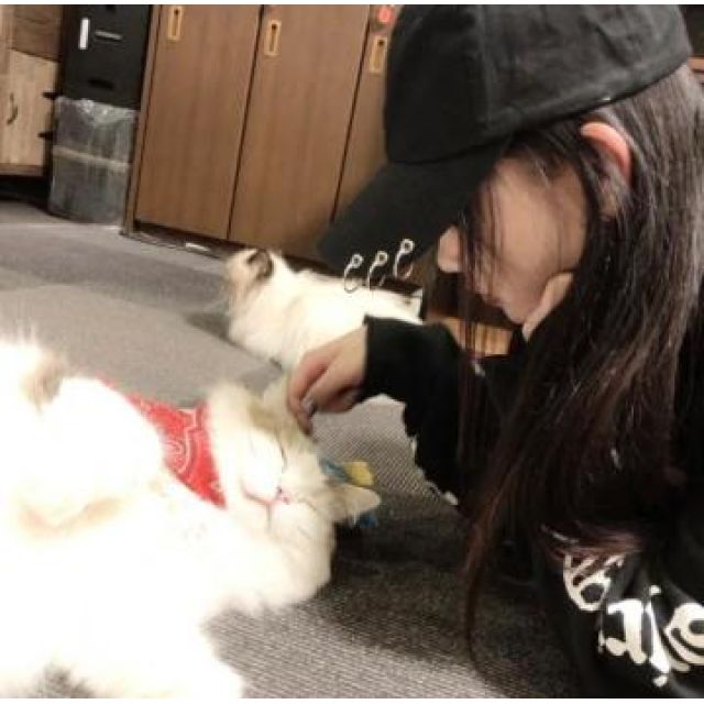 【千葉風俗】栄町ソープランド アラカルト【-A La Carte-】にのの日記画像