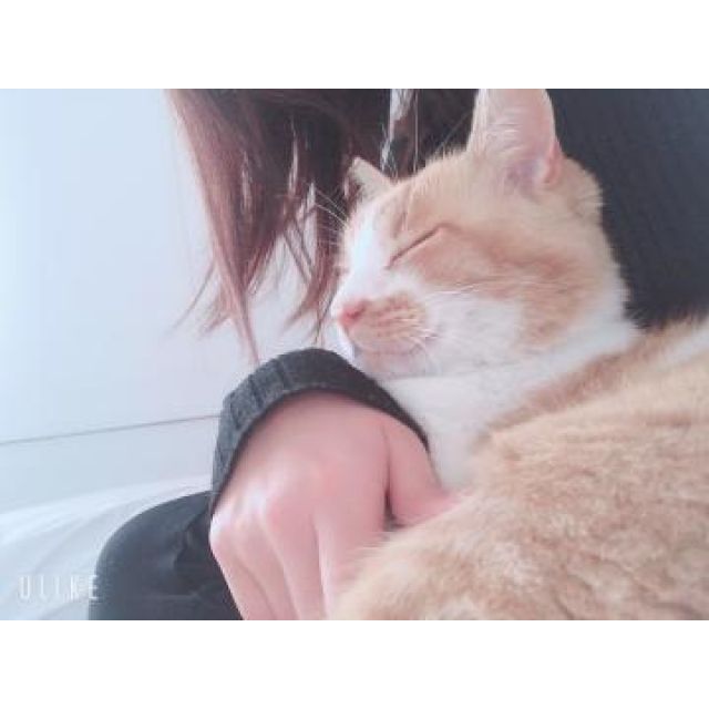 【千葉風俗】栄町ソープランド アラカルト【-A La Carte-】うたは【体調回復❤️‍?】日記画像