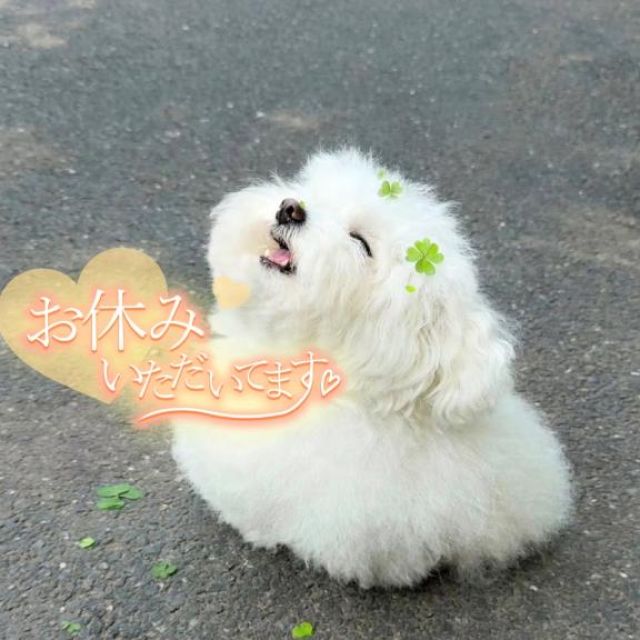 【千葉風俗】栄町ソープランド アラカルト【-A La Carte-】美桜の日記画像