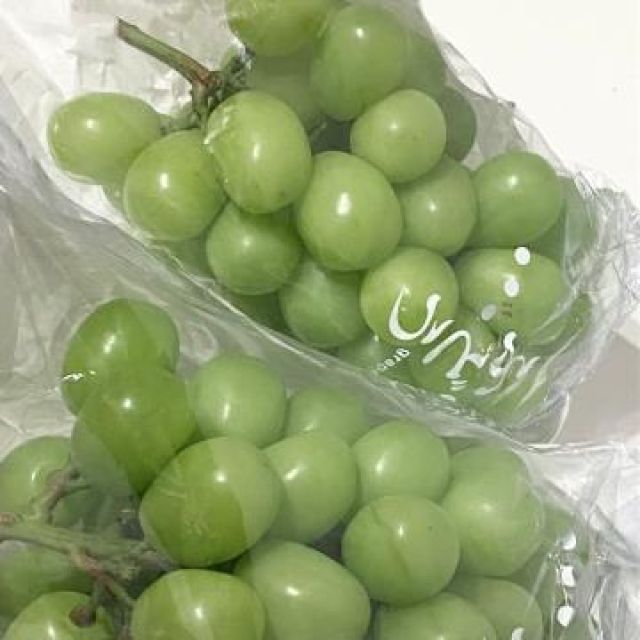 【千葉風俗】栄町ソープランド アラカルト【-A La Carte-】ましろの日記画像