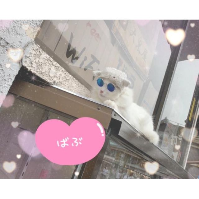 【千葉風俗】栄町ソープランド アラカルト【-A La Carte-】TIHAの日記画像