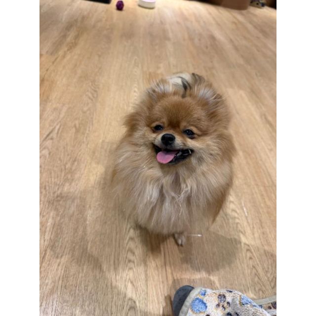 【千葉風俗】栄町ソープランド アラカルト【-A La Carte-】ぴょんの日記画像