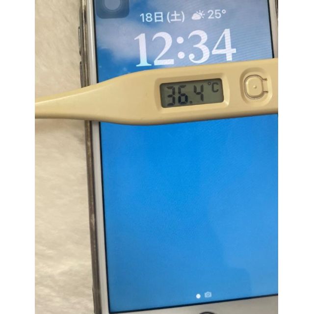 【千葉風俗】栄町ソープランド アラカルト【-A La Carte-】はるの日記画像