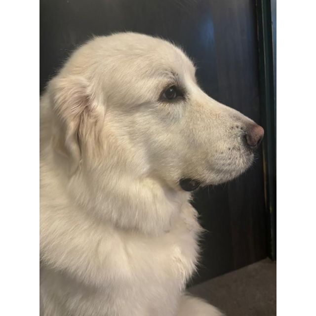 【千葉風俗】栄町ソープランド アラカルト【-A La Carte-】こむぎの日記画像