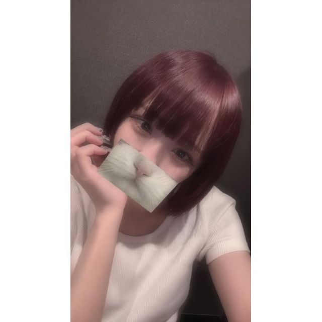 【千葉風俗】栄町ソープランド アラカルト【-A La Carte-】りずの日記画像