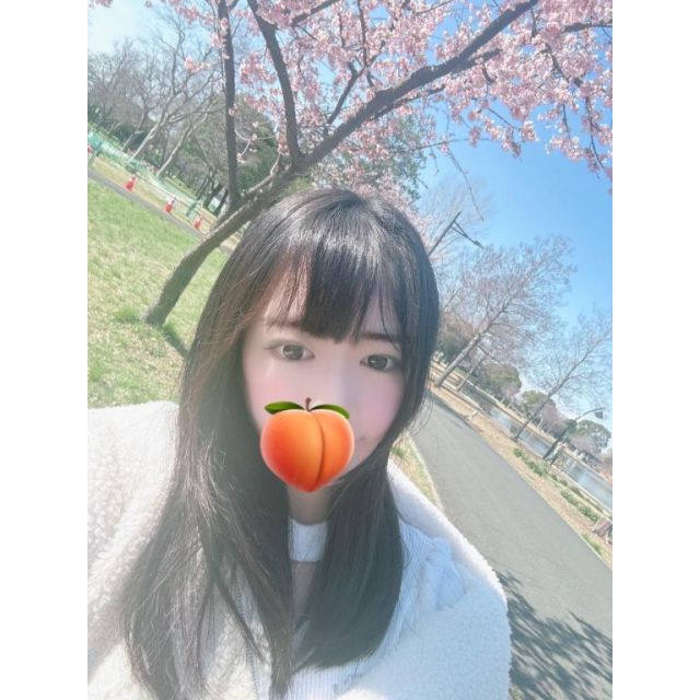 【千葉風俗】栄町ソープランド アラカルト【-A La Carte-】こんぶの日記画像