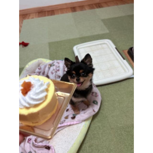 【千葉風俗】栄町ソープランド アラカルト【-A La Carte-】こんぶ【今日います❣】日記画像