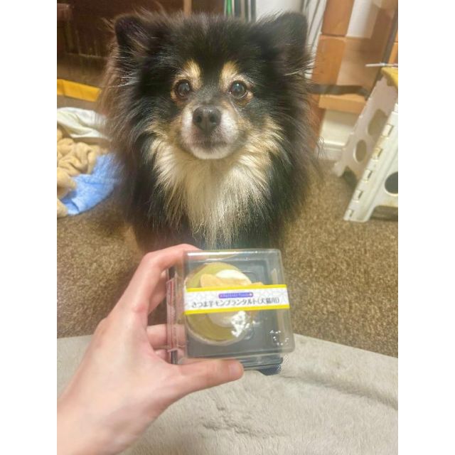 【千葉風俗】栄町ソープランド アラカルト【-A La Carte-】ちぃの日記画像