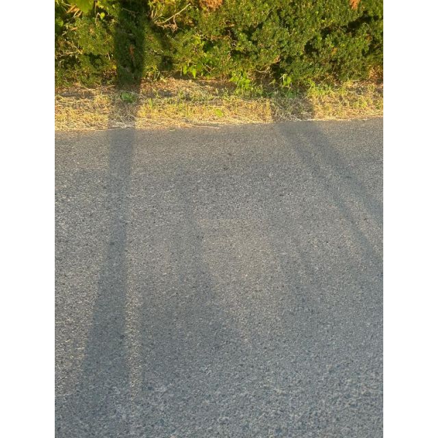 【千葉風俗】栄町ソープランド アラカルト【-A La Carte-】ちぃの日記画像