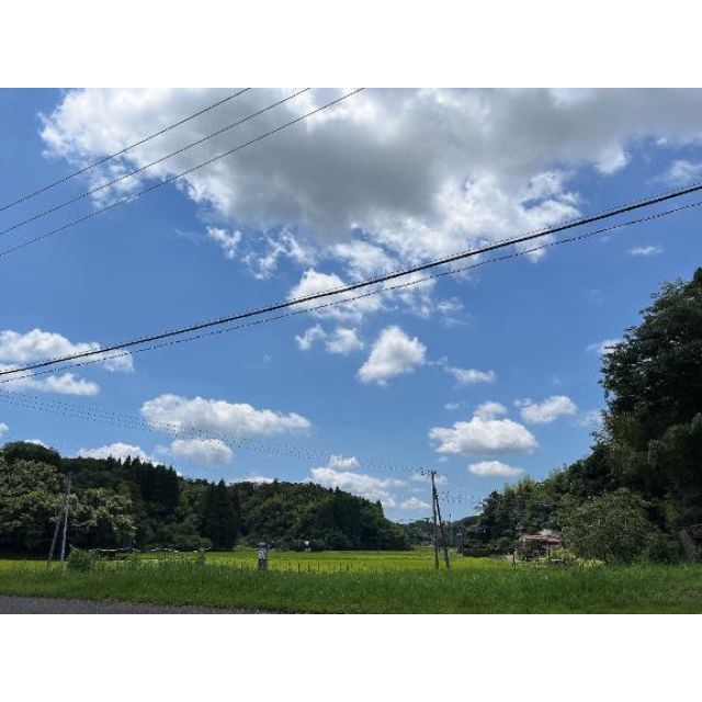 【千葉風俗】栄町ソープランド アラカルト【-A La Carte-】しらゆきの日記画像