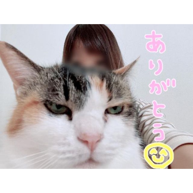 【千葉風俗】栄町ソープランド アラカルト【-A La Carte-】しらゆきの日記画像