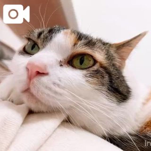 【千葉風俗】栄町ソープランド アラカルト【-A La Carte-】しらゆきの日記画像