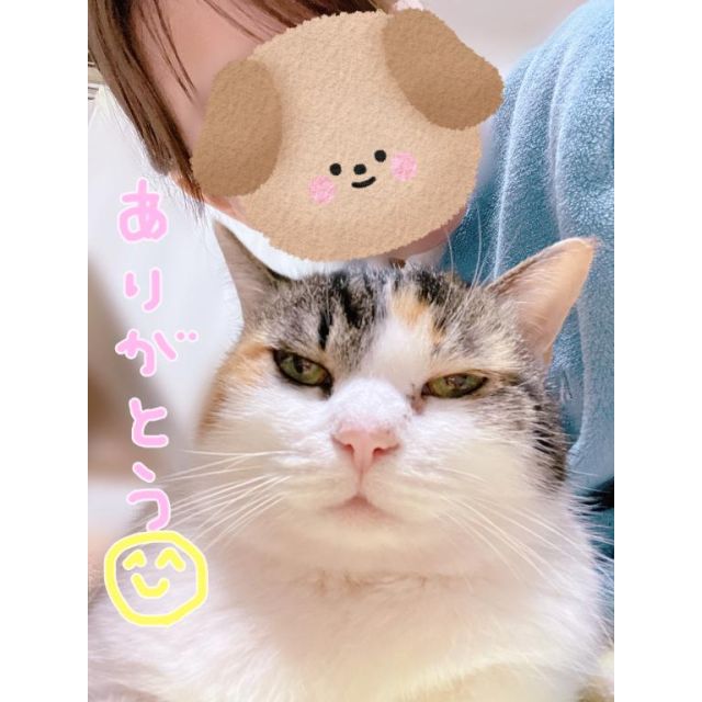 【千葉風俗】栄町ソープランド アラカルト【-A La Carte-】しらゆきの日記画像