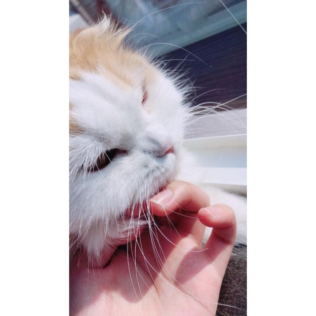 【千葉風俗】栄町ソープランド アラカルト【-A La Carte-】もかの日記画像