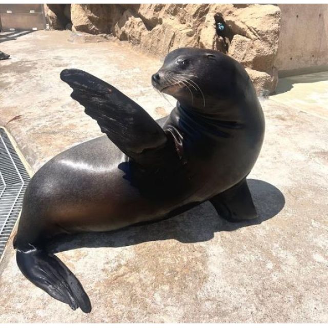 【千葉風俗】栄町ソープランド アラカルト【-A La Carte-】こゆきの日記画像