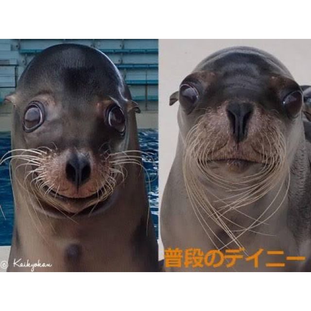 【千葉風俗】栄町ソープランド アラカルト【-A La Carte-】こゆきの日記画像
