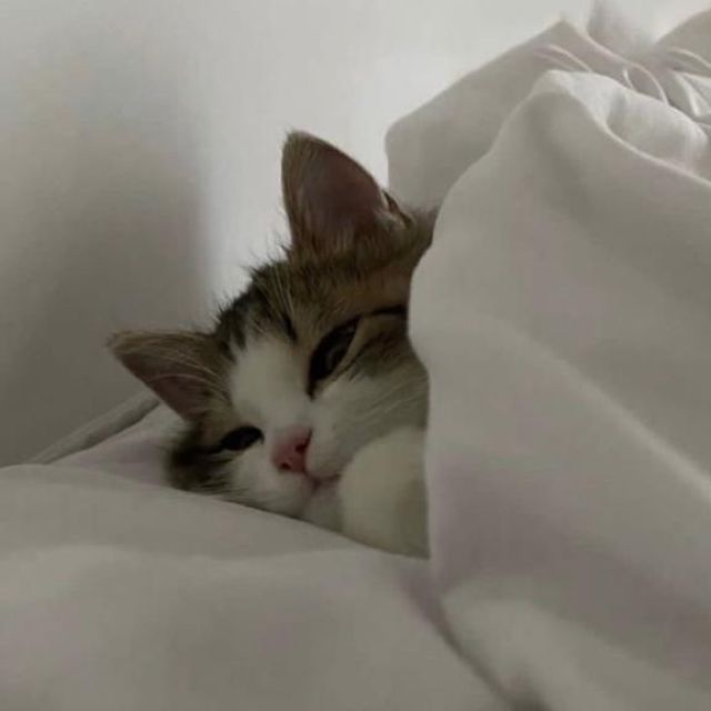 【千葉風俗】栄町ソープランド アラカルト【-A La Carte-】ちはるの日記画像