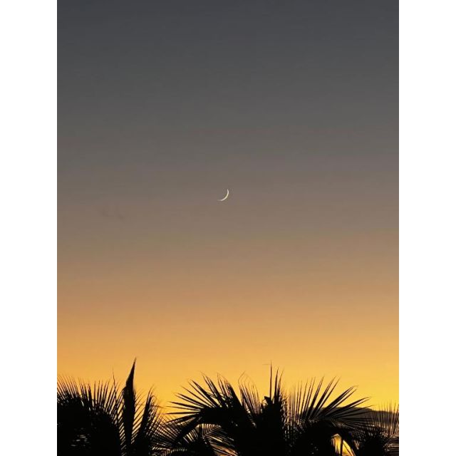 【千葉風俗】栄町ソープランド アラカルト【-A La Carte-】みかさの日記画像