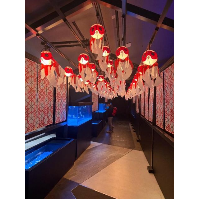 【千葉風俗】栄町ソープランド アラカルト【-A La Carte-】みさの日記画像