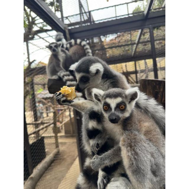 【千葉風俗】栄町ソープランド アラカルト【-A La Carte-】れむの日記画像