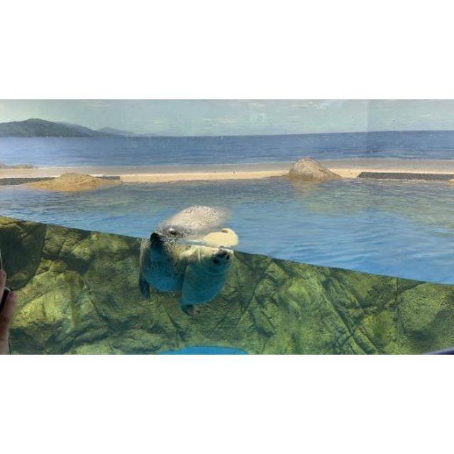 【千葉風俗】栄町ソープランド アラカルト【-A La Carte-】れんげの日記画像