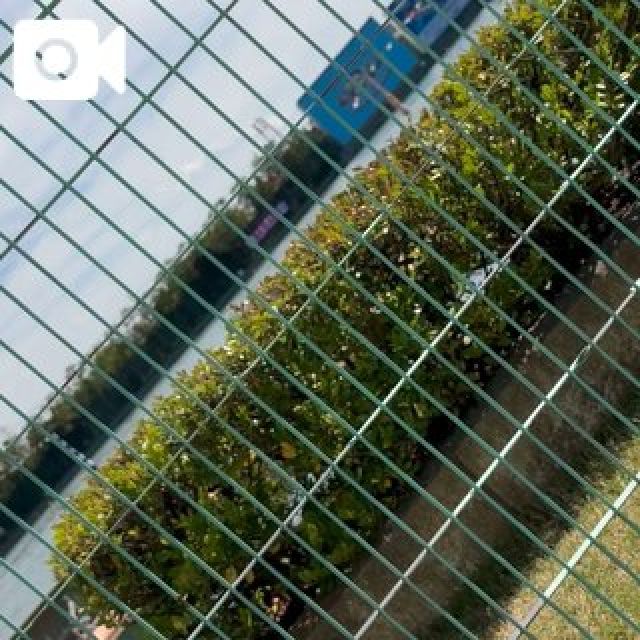 【千葉風俗】栄町ソープランド アラカルト【-A La Carte-】はなび【お久しぶり...】日記画像