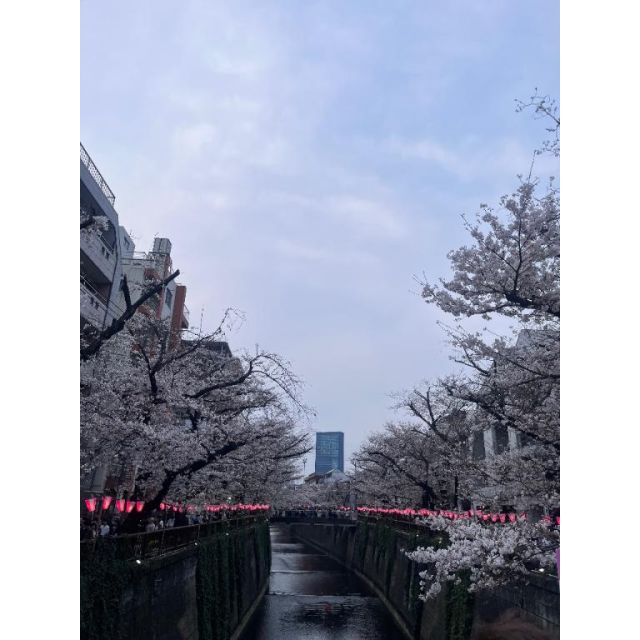 【千葉風俗】栄町ソープランド アラカルト【-A La Carte-】あゆかの日記画像