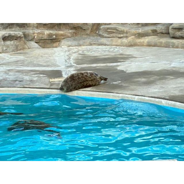 【千葉風俗】栄町ソープランド アラカルト【-A La Carte-】ゆまの日記画像