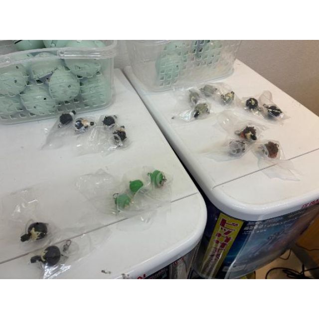 【千葉風俗】栄町ソープランド アラカルト【-A La Carte-】ゆまの日記画像