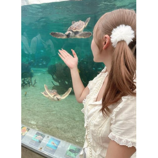 【千葉風俗】栄町ソープランド アラカルト【-A La Carte-】なおの日記画像