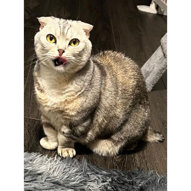 【千葉風俗】栄町ソープランド アラカルト【-A La Carte-】せなの日記画像